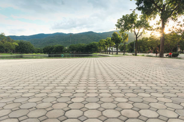Paver Driveway Replacement in Willcox, AZ
