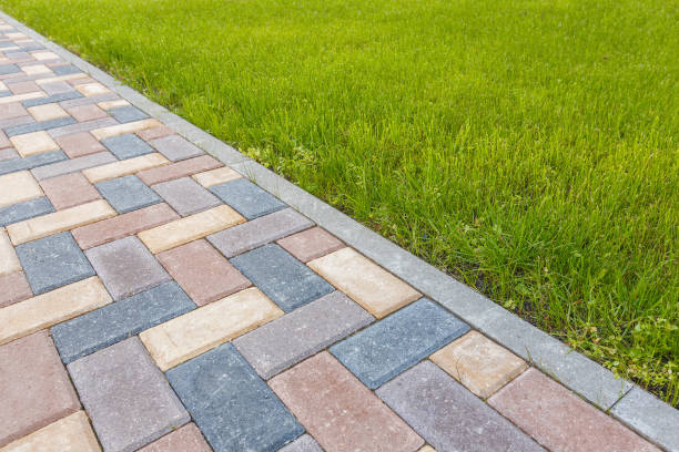 Best Best Driveway Pavers  in Willcox, AZ